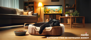 КОТЕШКИ СЪН ЗА КОТЕШКИ ЖИВОТ