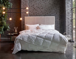 Winter down duvet CLIO | Dorelan®