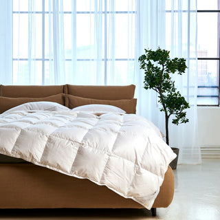 Winter down duvet CLIO | Dorelan®