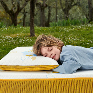 RE:EVOLUTION Pillow | Dorelan®