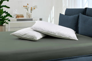 SAVE 2 pillow | Dorelan®